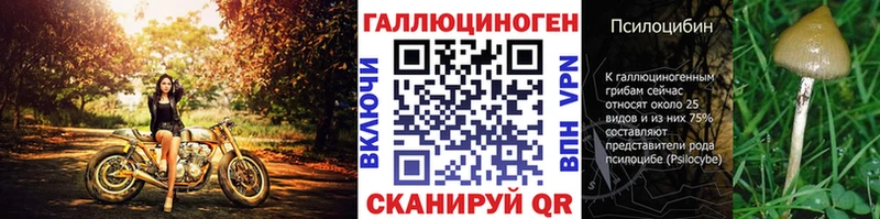 Псилоцибиновые грибы Psilocybe  Трубчевск 