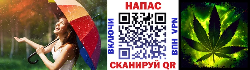 OMG tor  Трубчевск  Шишки марихуана план 
